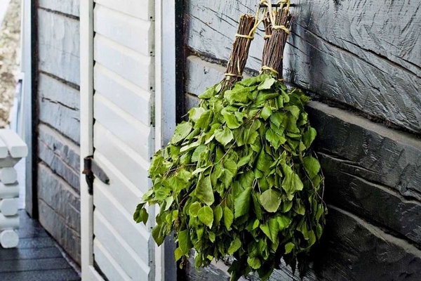 Как выбрать правильный веник для русской бани