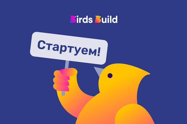 Чем в бизнесе поможет маркетплейс BirdsBuild?